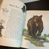 Album of North American Animals 1976 Book Clark Bronson Illustrations